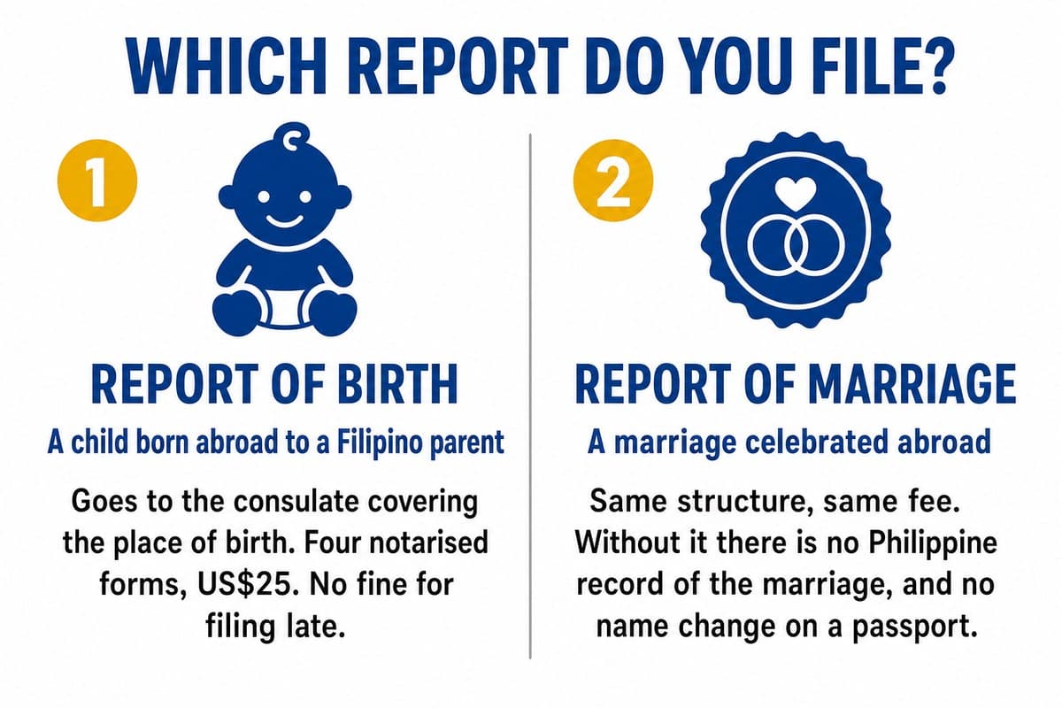 The two civil registry reports and what each one records